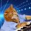 Keyboard Cat on ListingSpy