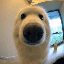 Boop on ListingSpy