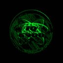IQ6900 crypto project on ListingSpy