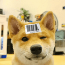 New Dog crypto project on ListingSpy