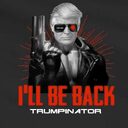 Trumpinator crypto project on ListingSpy