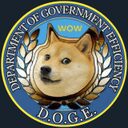 Department of Gov Efficiency crypto project on ListingSpy