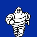 Man Michelin The crypto project on ListingSpy