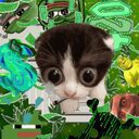Jonny crypto project on ListingSpy