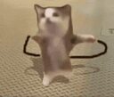 jump cat crypto project on ListingSpy