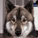 Odin crypto project on ListingSpy