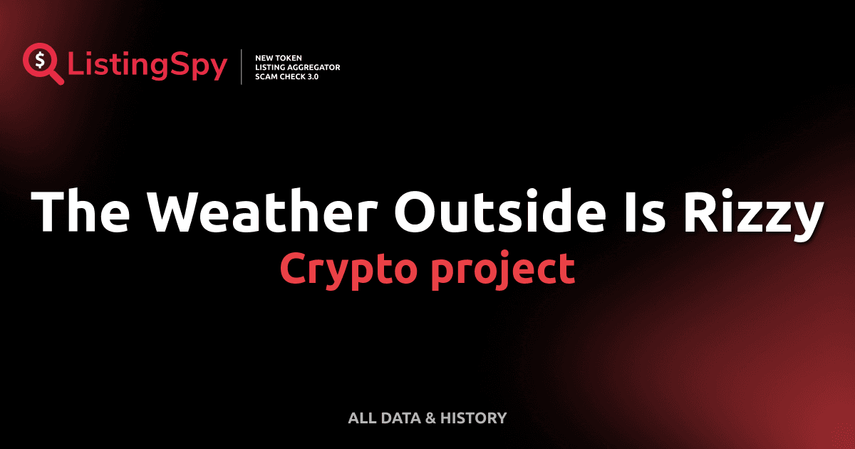 The Weather Outside Is Rizzy crypto project: Rizzy token listings ...