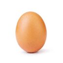 THE EGG crypto project on ListingSpy