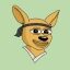 Kung Fu Kangaroo crypto project on ListingSpy