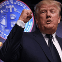 First Crypto President crypto project on ListingSpy
