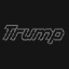TRUMPCOIN crypto project on ListingSpy