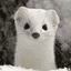 White Mountain Ermine crypto project on ListingSpy