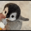 BABYPENGUIN crypto project on ListingSpy