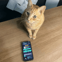 First coin launched by a cat crypto project on ListingSpy