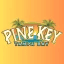 Pine Key Tampa Bay crypto project on ListingSpy