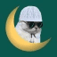 Ramadan crypto project on ListingSpy