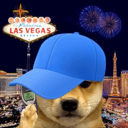 Dog Wif Cap crypto project on ListingSpy
