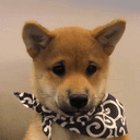 dogwifscarf crypto project on ListingSpy