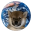dogwifglobe crypto project on ListingSpy