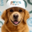 Pawsome crypto project on ListingSpy
