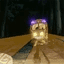 catbus crypto project on ListingSpy