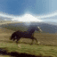horse crypto project on ListingSpy
