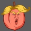 Impeach Trump Again crypto project on ListingSpy