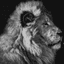 thelionrapesthedogwhenitbarks crypto project on ListingSpy