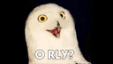 O RLY? crypto project on ListingSpy