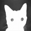 The flash cat crypto project on ListingSpy