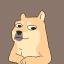 Doge's Retarded Brother crypto project on ListingSpy