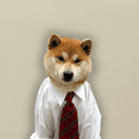 First Dog Listed On WallStreet crypto project on ListingSpy