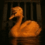 Orange Swan Event crypto project on ListingSpy