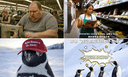 MEME WAR crypto project on ListingSpy