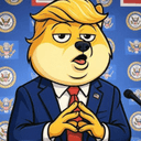 Dogeald Trump crypto project on ListingSpy