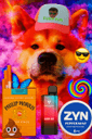 LUSHICEUPPYDECKYMORRIS6MG crypto project on ListingSpy