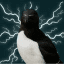 AURA BIRD crypto project on ListingSpy
