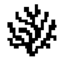 Coral Protocol crypto project on ListingSpy