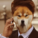 BONK IT crypto project on ListingSpy
