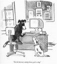 Nobody knows you're a dog crypto project on ListingSpy