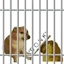 Horny Jail crypto project on ListingSpy