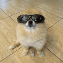Kori The Pom crypto project on ListingSpy