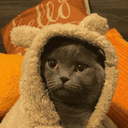 Mr. Smokey crypto project on ListingSpy