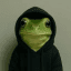 hood frog crypto project on ListingSpy