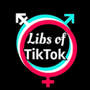 Libs of TikTok crypto project on ListingSpy