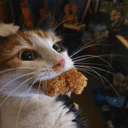 Chicken Nugget crypto project on ListingSpy