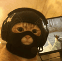 catwifmask crypto project on ListingSpy