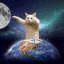 Longcat crypto project on ListingSpy