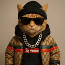 catwifdrip crypto project on ListingSpy