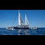 Freedom Flotilla crypto project on ListingSpy